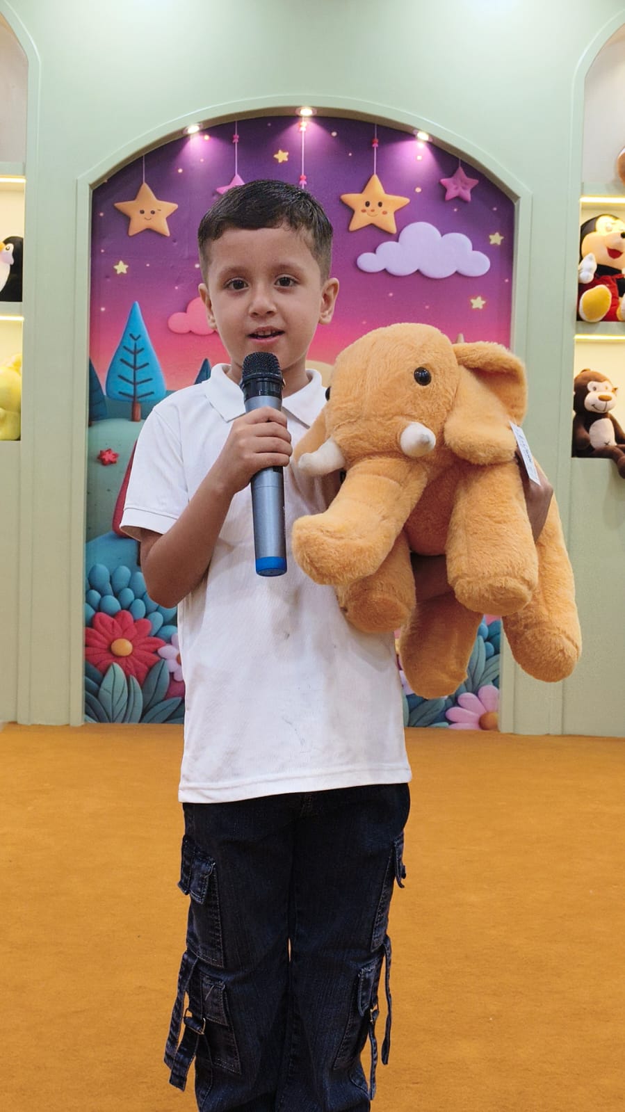Tiny Ted Talk